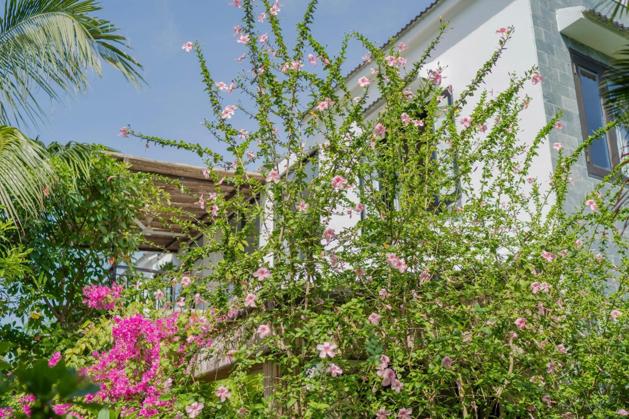 An Bang Garden Pool Villa ホイアン エクステリア 写真